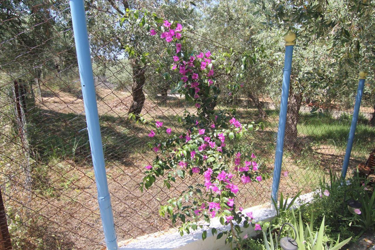 Joanna'S House Villa Skala Kallirakhis Exterior photo